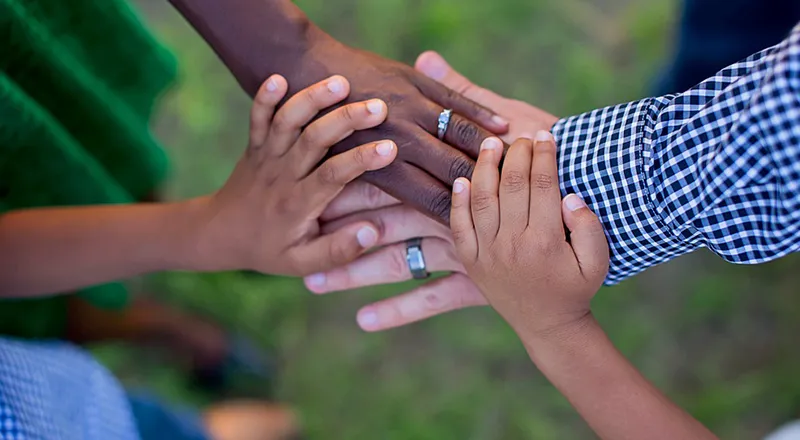 Family Therapy & Counseling